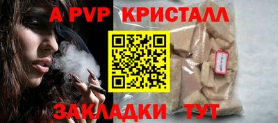 прущие грибы Можга