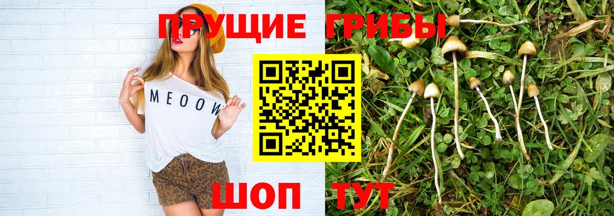 Галлюциногенные грибы прущие грибы  Вход с VPN  Галлюциногенные грибы Psilocybine cubensis  Торжок 